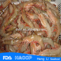 HL002 seafood frozen wild sea caught shrimp